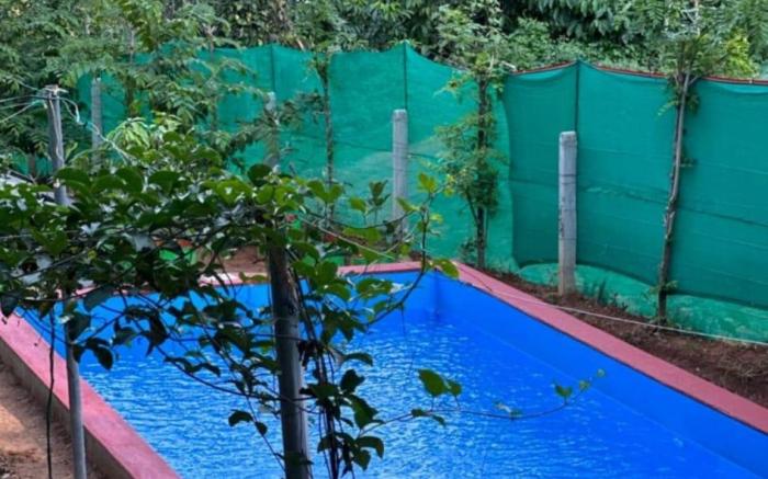 Loquat Inn Homestay