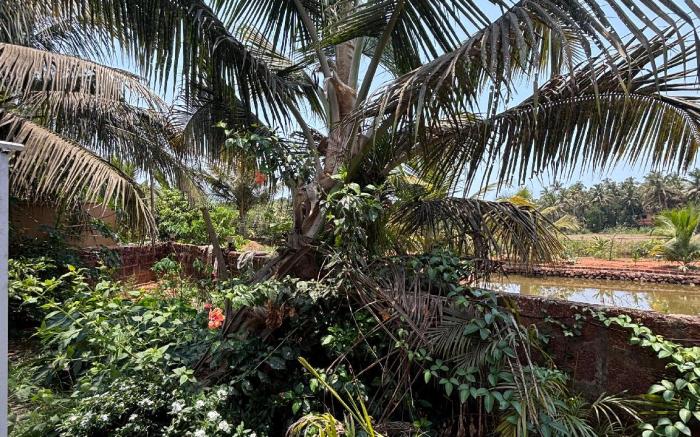 The Leisure Cave Arambol Goa