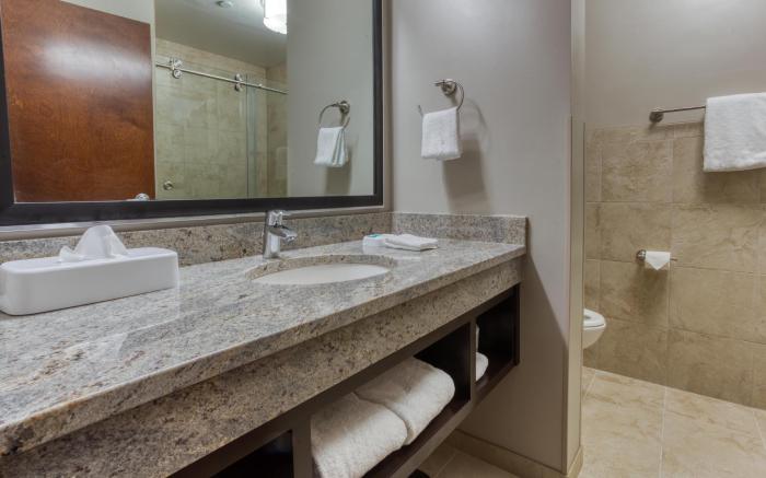 Drury Plaza Hotel Dallas Richardson