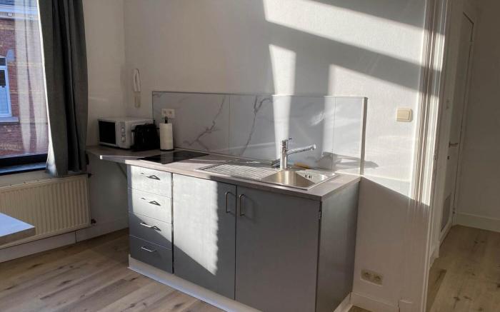 Comfortable apartment