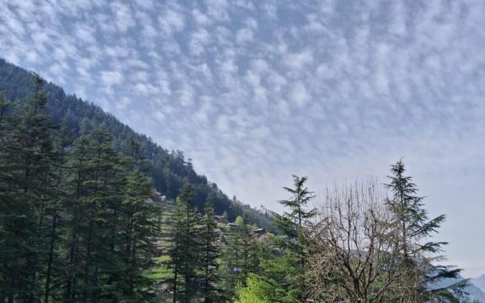 Mymanali adventures camps 
