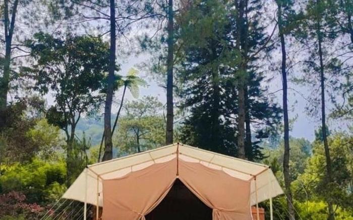 Glamping Forest Garden Batulayang