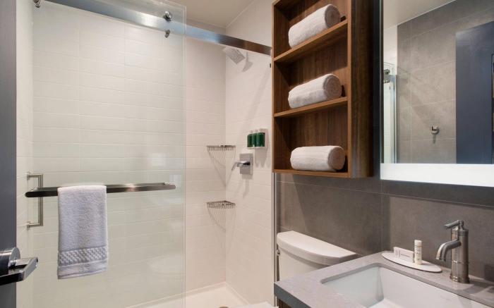 TownePlace Suites New York Long Island City/Manhattan View