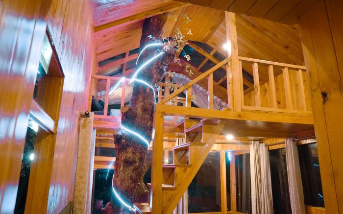 WOW the Tree House