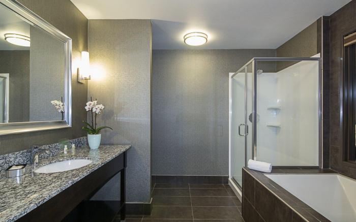 Holiday Inn Hotel & Suites Milpitas By IHG