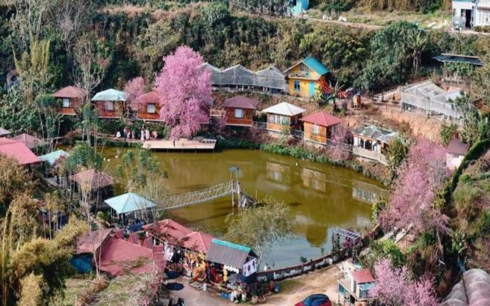 Nhà Bên Hồ - Đà Lạt Homestay
