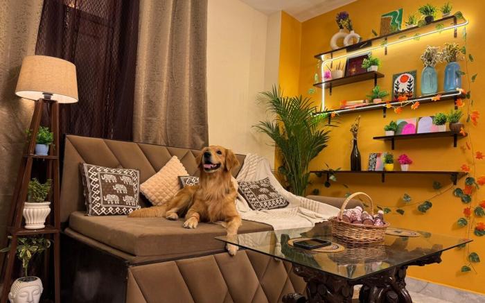 Boho Vibes -Spacious/ Private/ Cozy space in Delhi