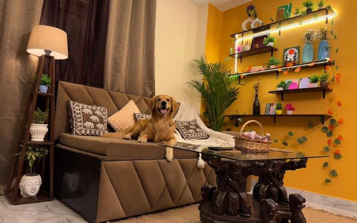 Boho Vibes -Spacious/ Private/ Cozy space in Delhi