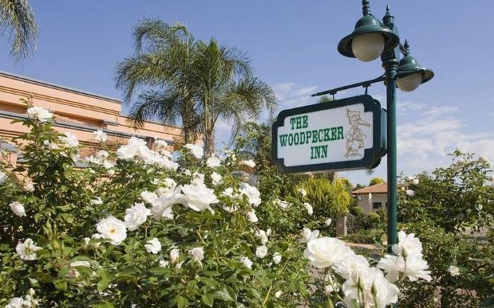 The Woodpecker Inn