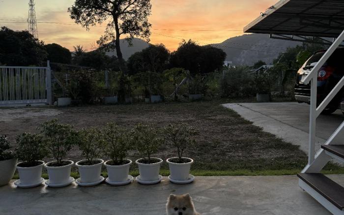Good life home