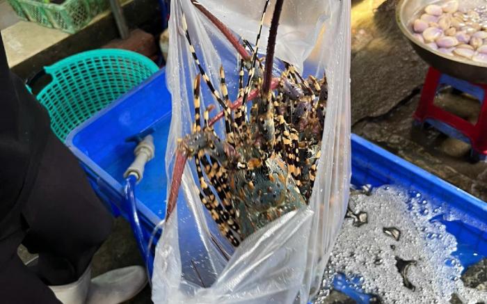 Furama Villas_SCentral 5-star resort