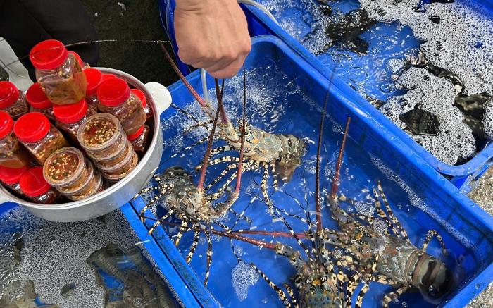 Furama Danang P - 5 star resort