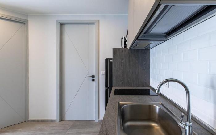 Mountain View Studio Apt (T3-830)