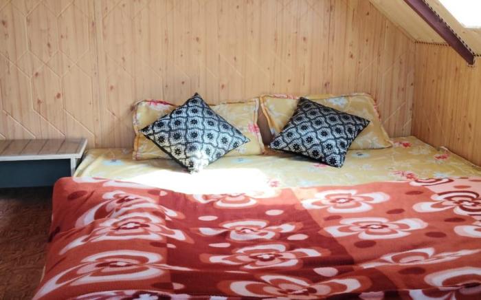 Tirthan Mountain Stay