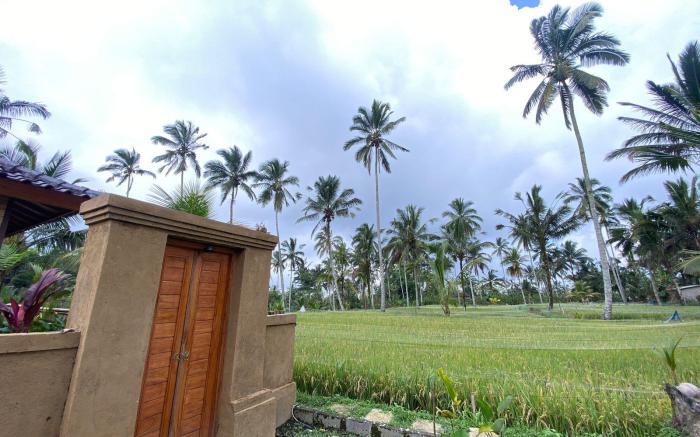 Yoga's House Taro 
