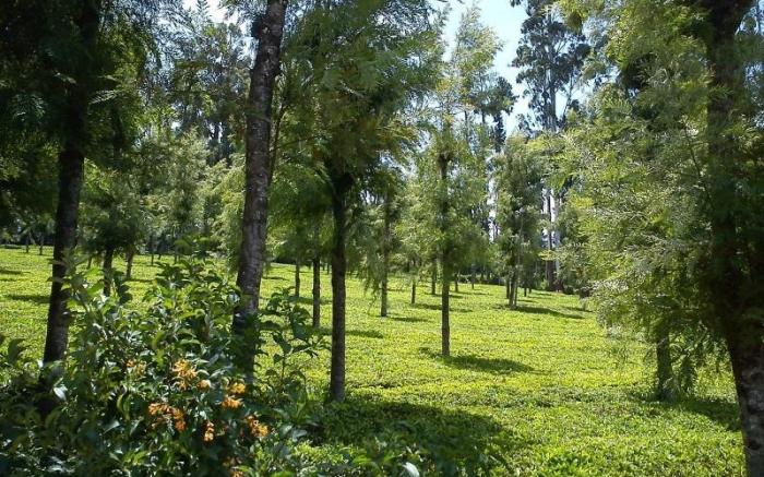Palve Sugavasam Resorts - Ooty