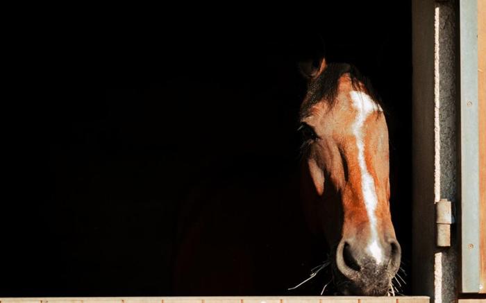 Les Embruns Studio 4p