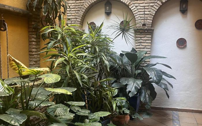 Hostal Lojo 
