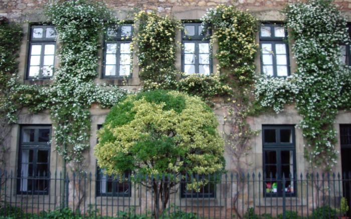 Hotel Casona El ARRAL