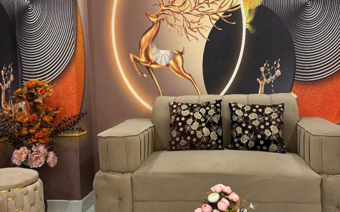 Deluxe 2 Bhk Apartment In New Delhi