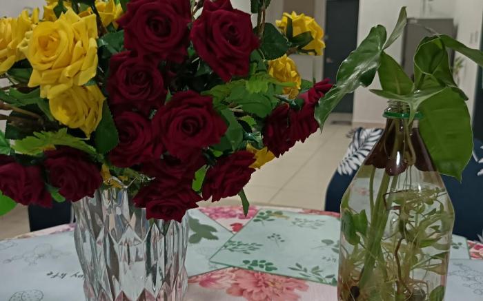 Serendah Rawang Villa Jennifer MAMA Guesthouse 