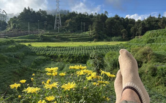 Tiny TeraBine Dieng wonosobo