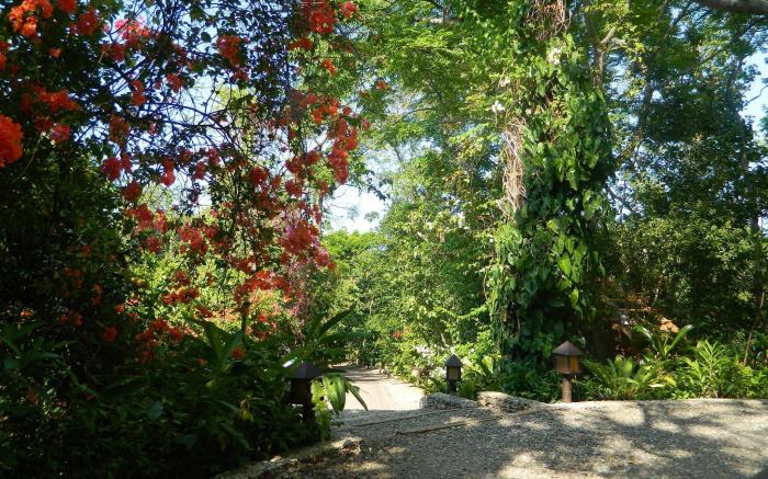 Mandala Villas and Spa