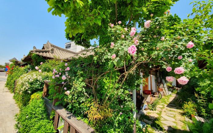 Gyodong Salrae Guesthouse