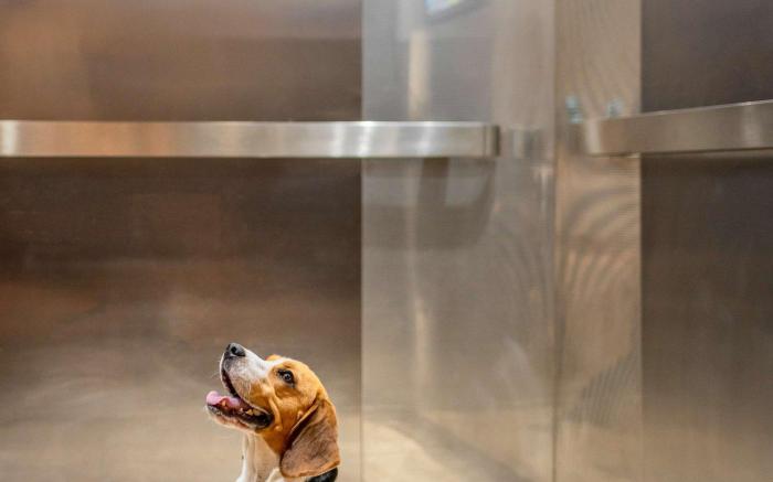 ibis Bilbao Barakaldo Hotel