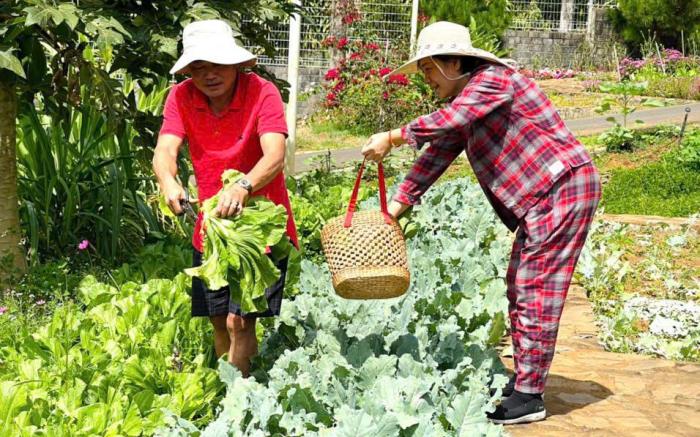 Houston Garden Bảo Lộc-Nơi thiên nhiên hoà quyện