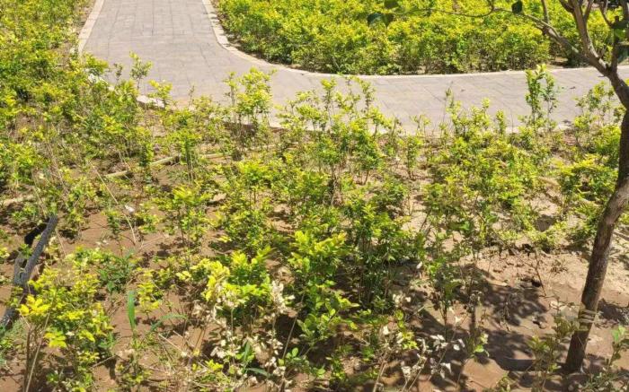 Vienna International Hotel Hebei Yanjiao Jinyan Street