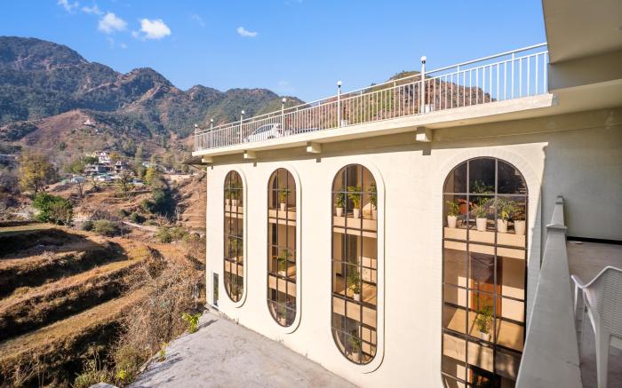 Palm Aryan Pause by the Stream