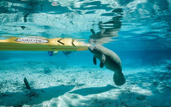 Holiday Inn Express Crystal River By IHG