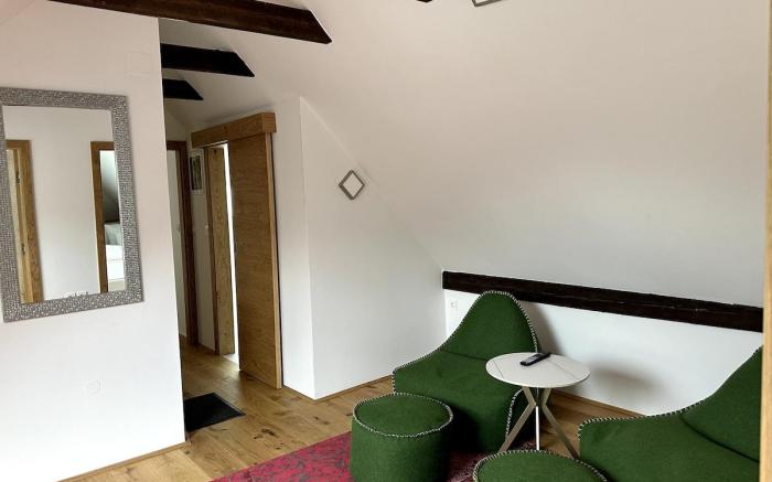 2BR suite| Attic w/ mountain view| We♥Pets| Free P