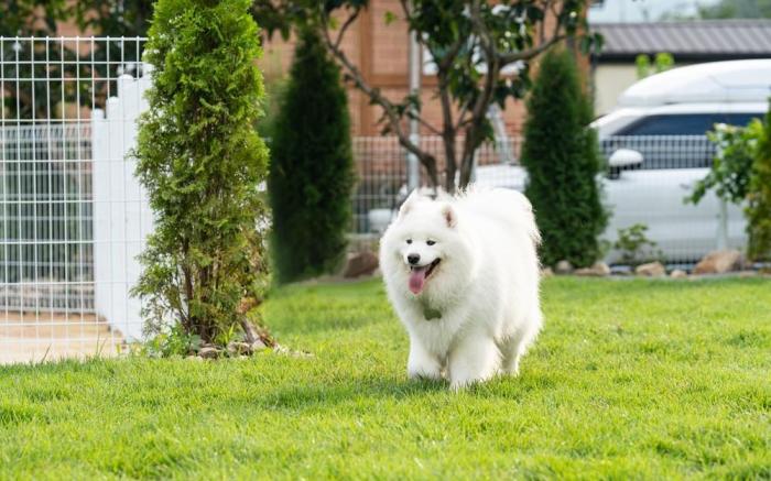 Yangsan Yeonhuijae Pet-friendlyPool Villa