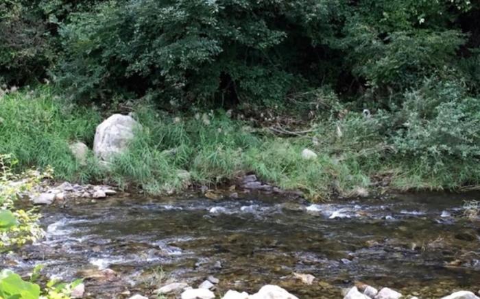 Hongcheon Gaon Resort Village Glamping
