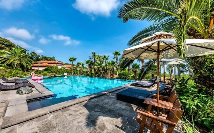 Jeju Palm Valley Pool Villa