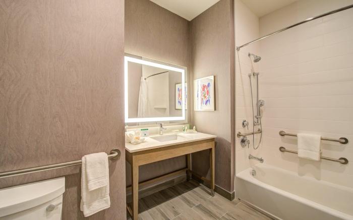 Holiday Inn Hotel & Suites Houston West - Katy Mills By IHG