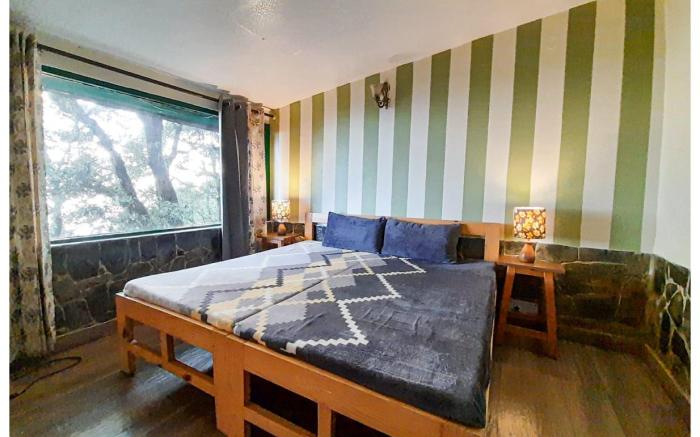 The Butterfly Room at Firs Estate, Landour.