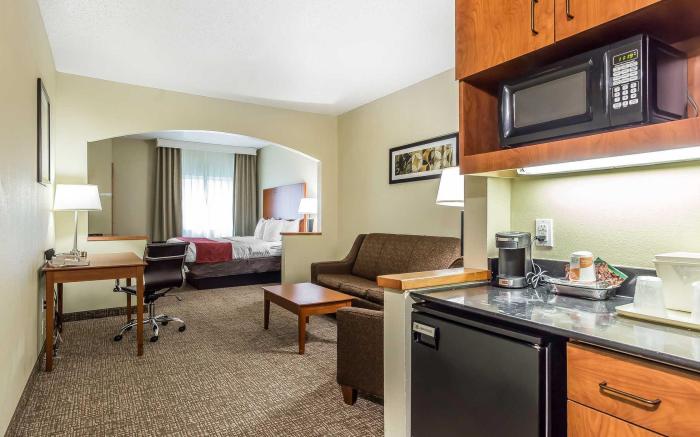 Comfort Suites North Dallas