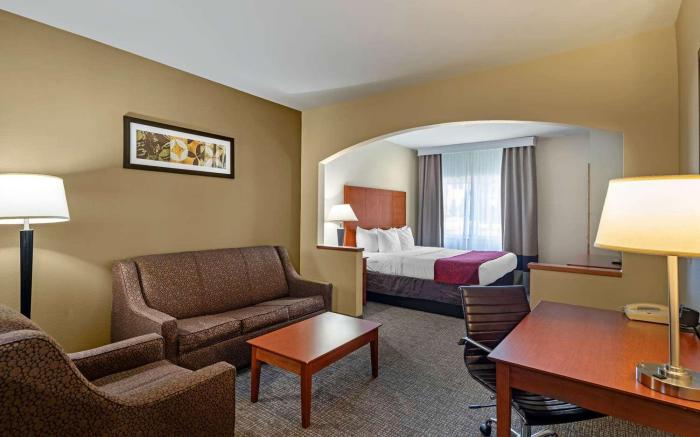 Comfort Suites North Dallas