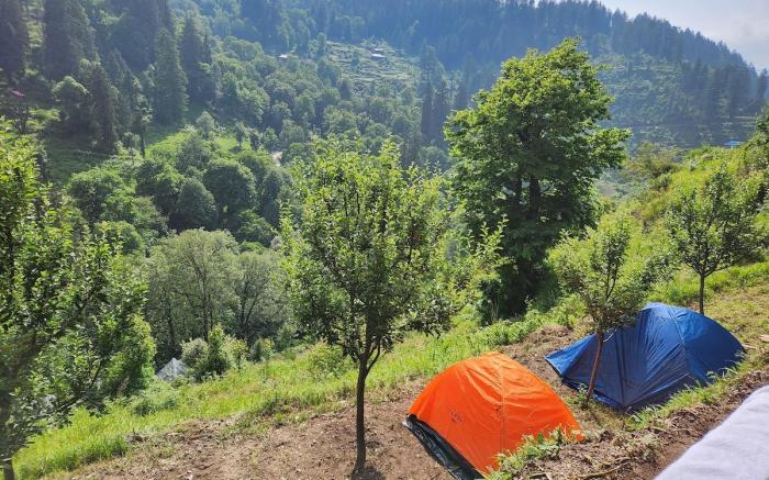 Meet by coo-incidence 
A place to live life