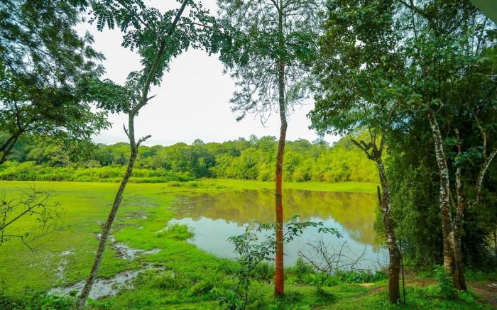 Tusker Inn Forest Lodge