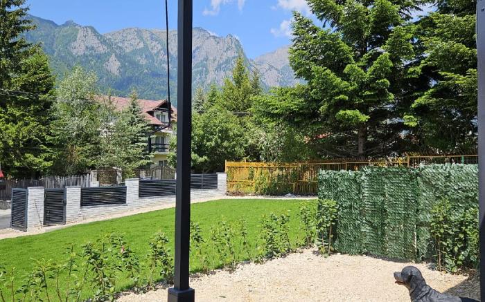 Diamond Resort Busteni