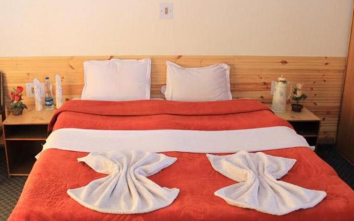 Hotel Mahay Palace