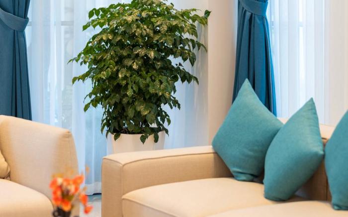 Sori Tour JM Tropical Bai Khem 