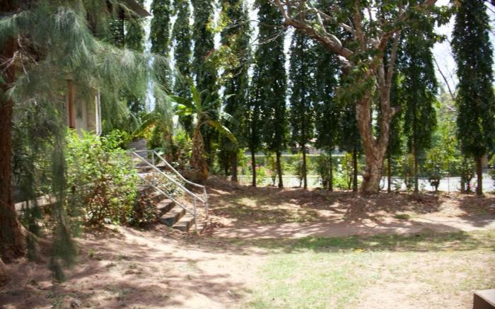 Panchito’s Little Nest