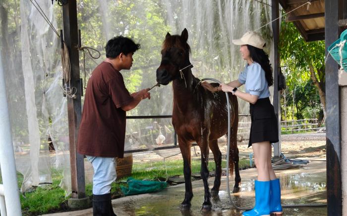 Preda Garden Home - บ้านสวนปรีดา