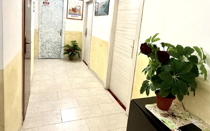 Luna Guest House