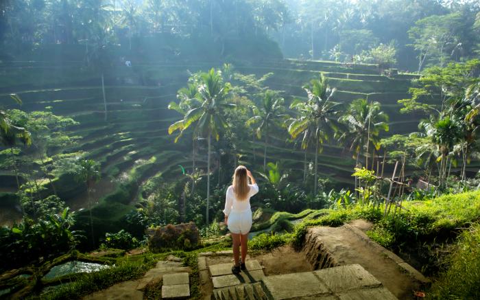 Ascarya Ubud